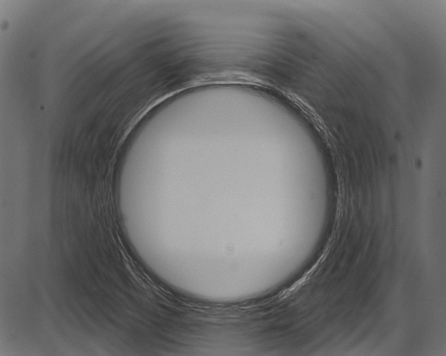 X0000087551457200704270937