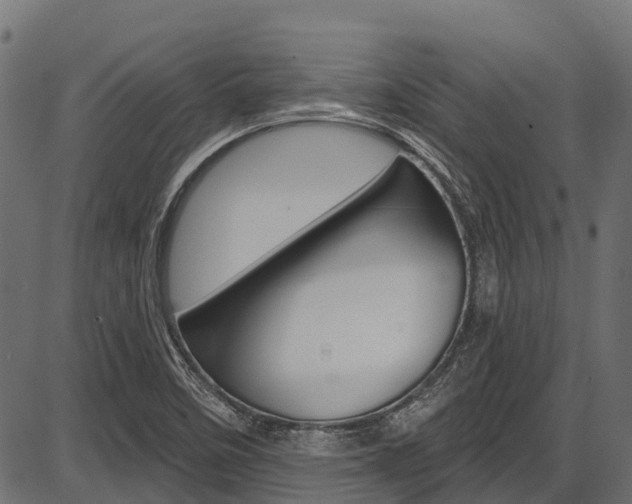 X0000087551458200704270937