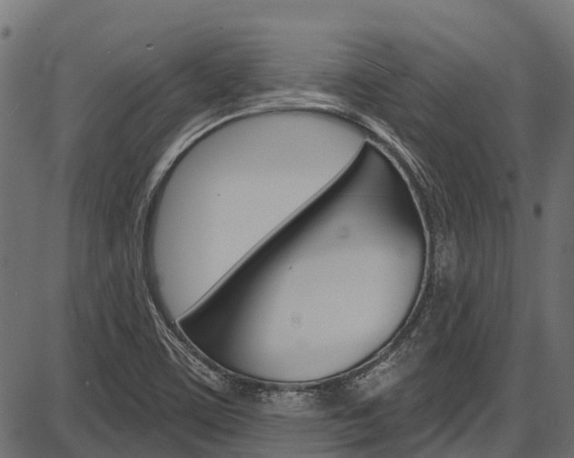X0000087551459200704270937