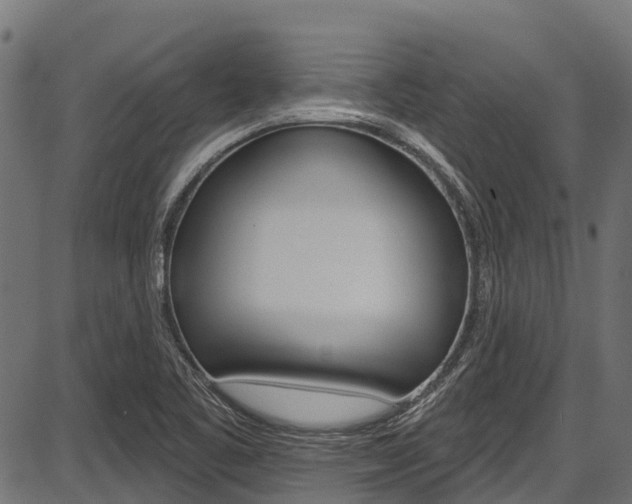 X0000087551461200704270936