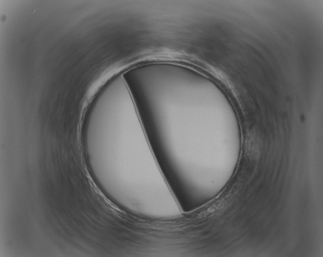 X0000087551464200704270936