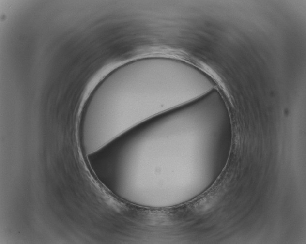 X0000087551472200704270936