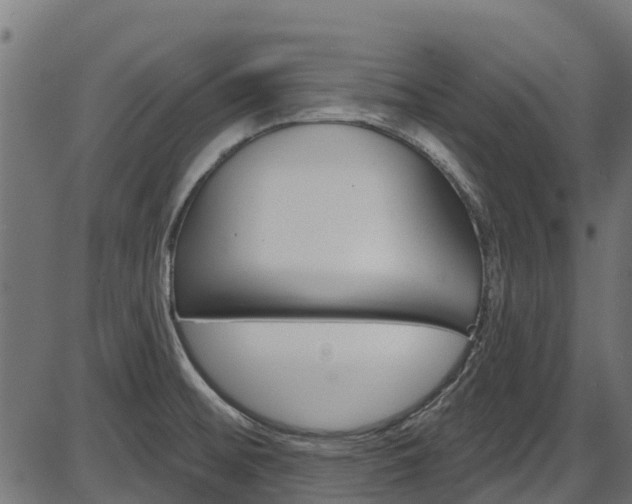 X0000087551476200704270936