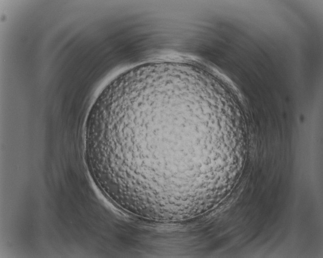 X0000087551479200704270936