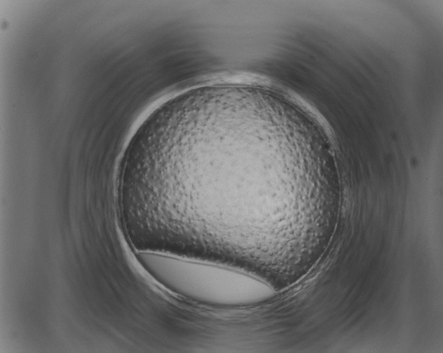 X0000087551483200704270936