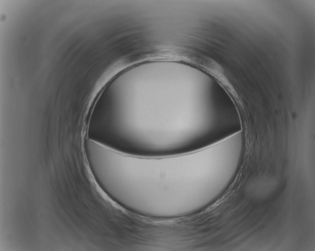 X0000087551484200704270936
