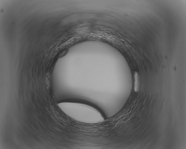 X0000087551491200704270935