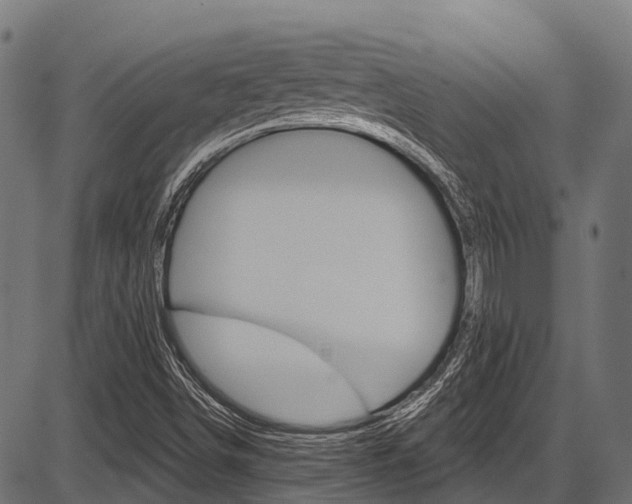 X0000087551498200704270935