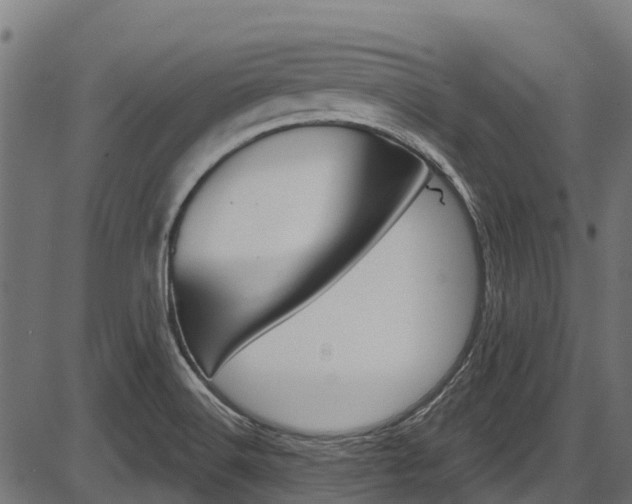 X0000087551516200704270936