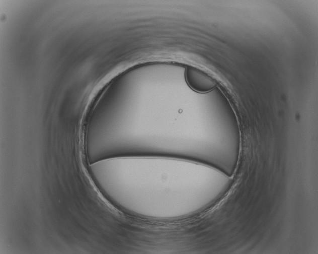 X0000087551517200704270936