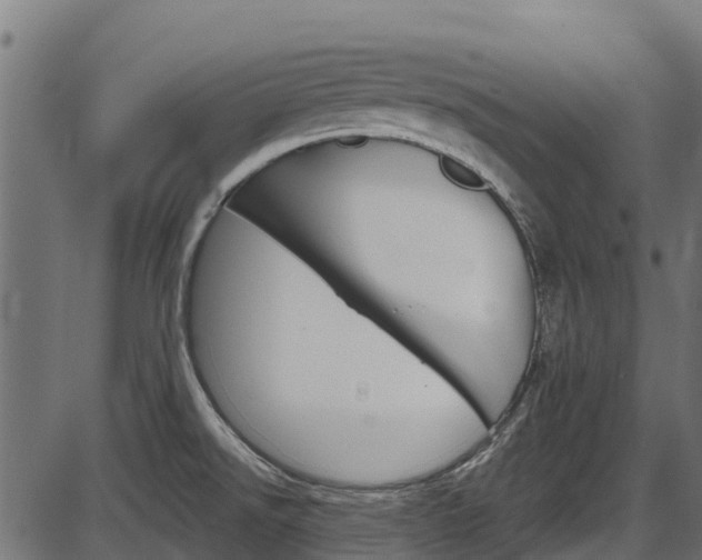 X0000087551526200704270936
