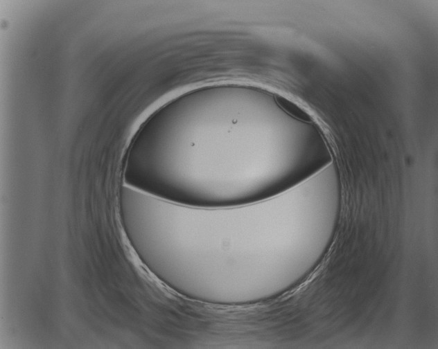 X0000087551534200704270936
