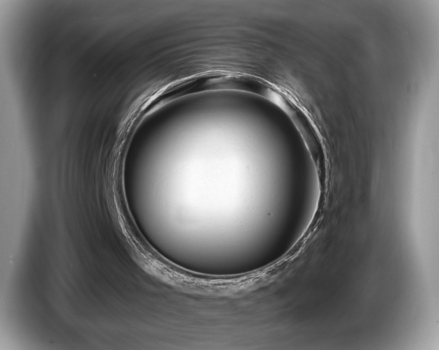 X0000087550001200704271216