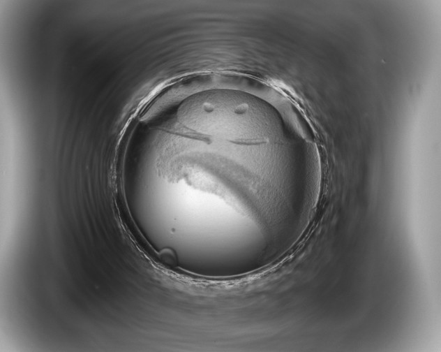 X0000087550002200704271216