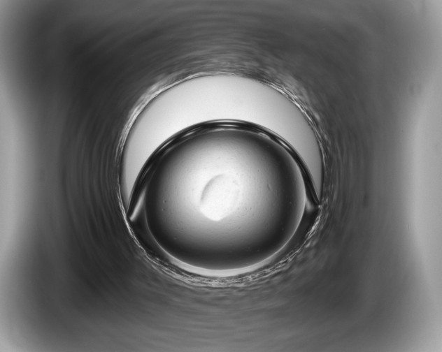 X0000087550003200704271216