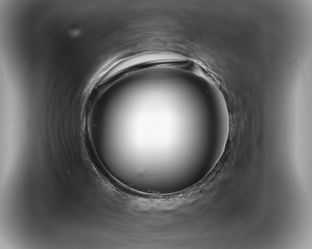 X0000087550005200704271216