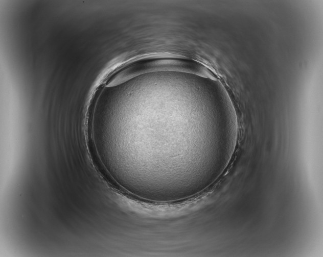 X0000087550006200704271216