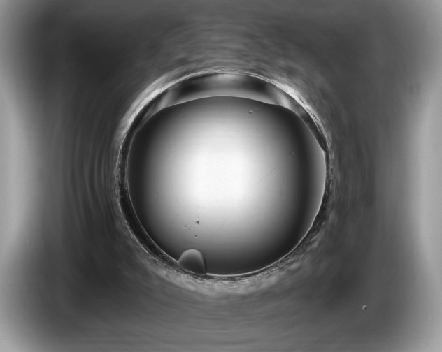 X0000087550007200704271216