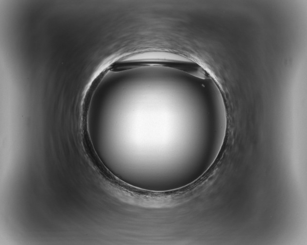 X0000087550008200704271216