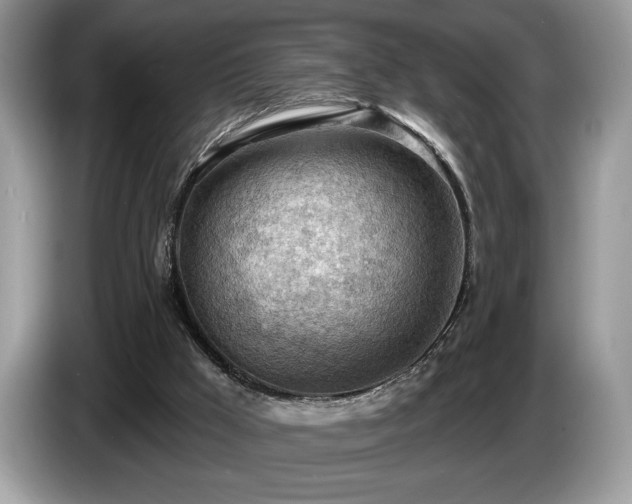 X0000087550009200704271216