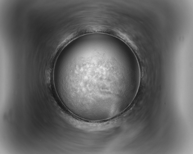 X0000087550010200704271216