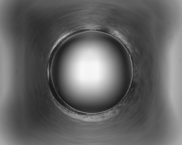 X0000087550011200704271216