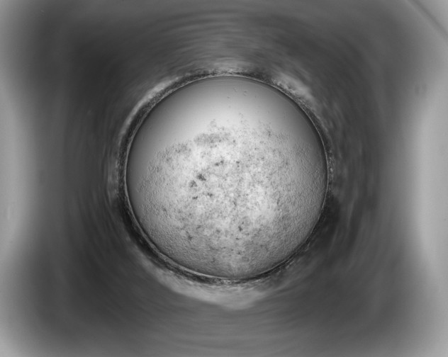 X0000087550012200704271216