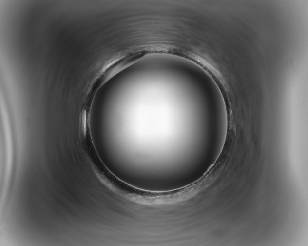 X0000087550013200704271216