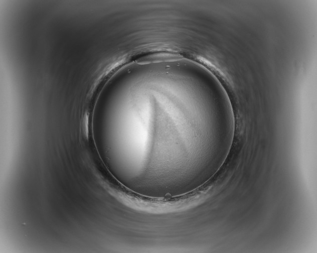 X0000087550014200704271216