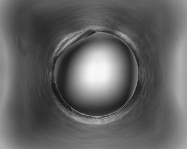 X0000087550015200704271216