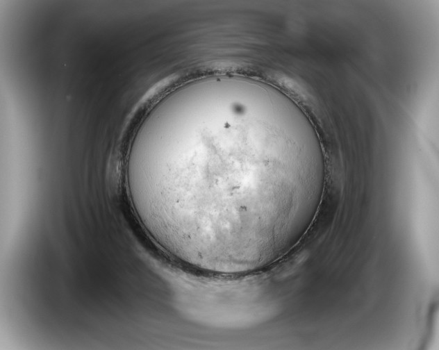 X0000087550016200704271216