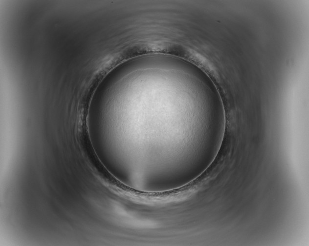 X0000087550018200704271216