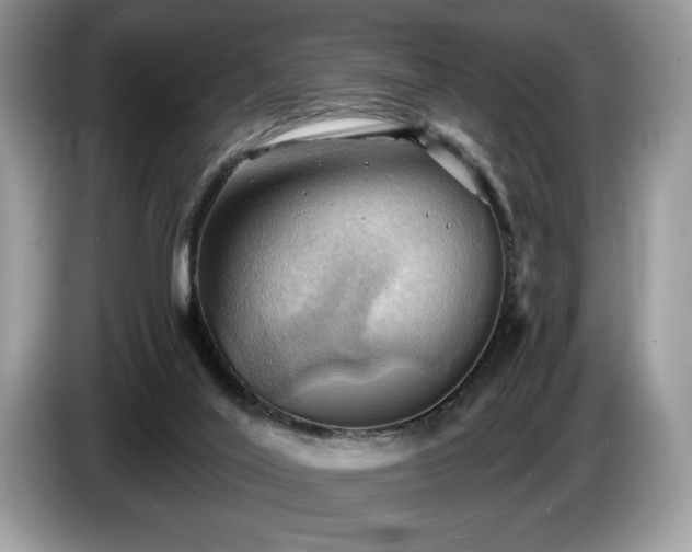 X0000087550020200704271216