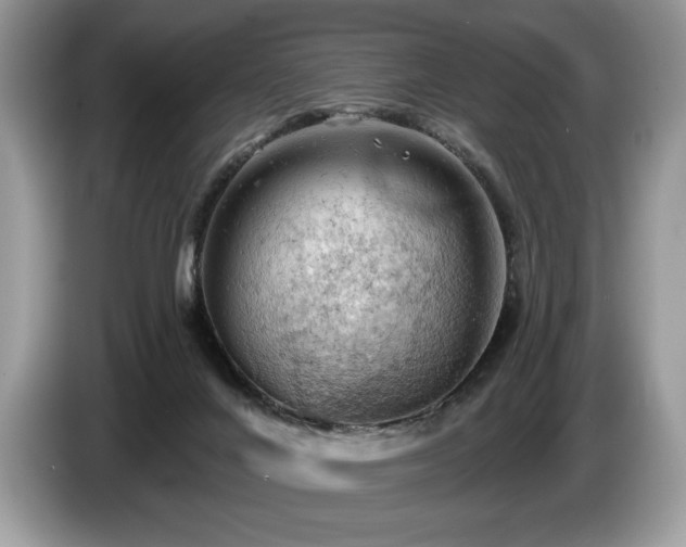 X0000087550024200704271216