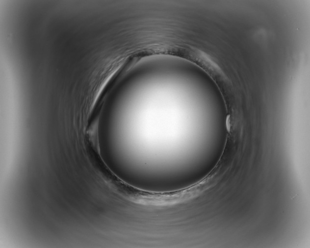 X0000087550025200704271216