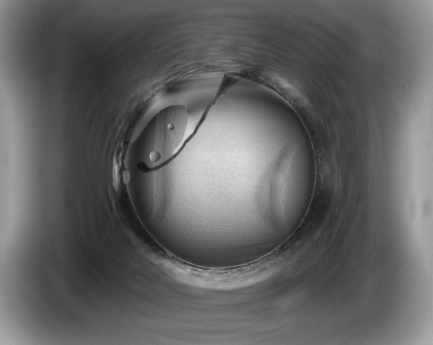 X0000087550026200704271216