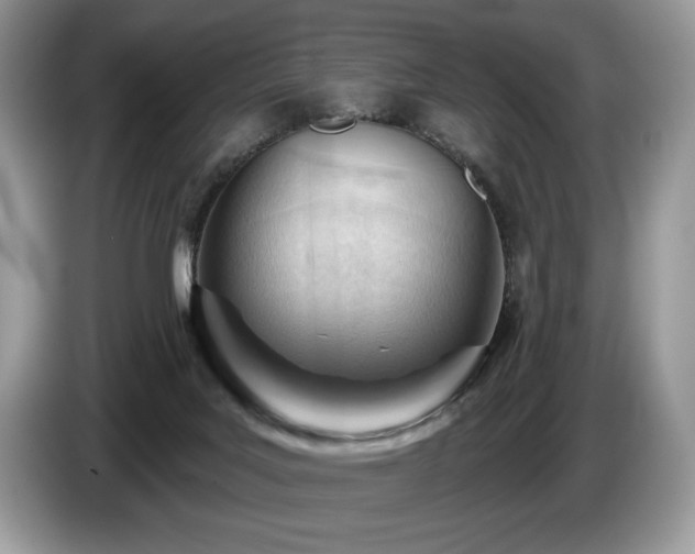 X0000087550027200704271216