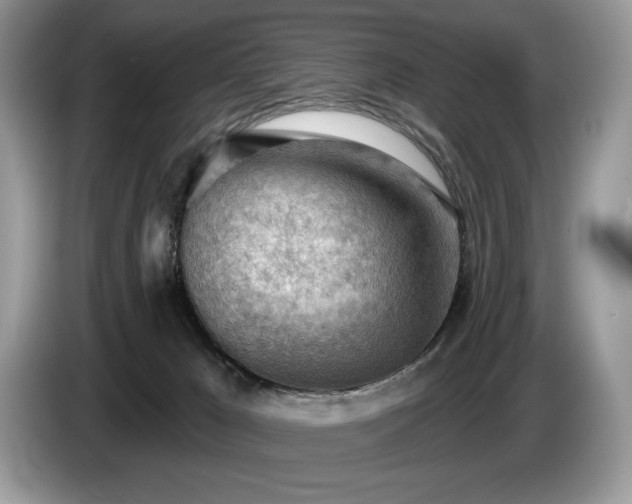 X0000087550029200704271216