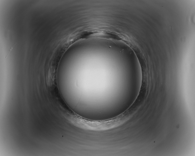 X0000087550030200704271216