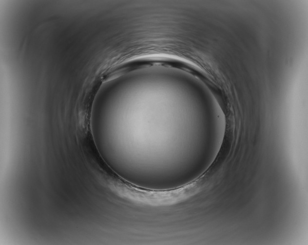 X0000087550031200704271216