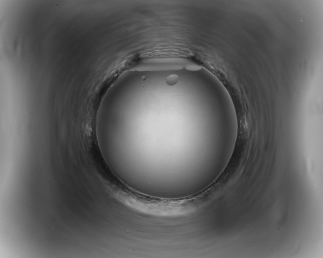 X0000087550032200704271216