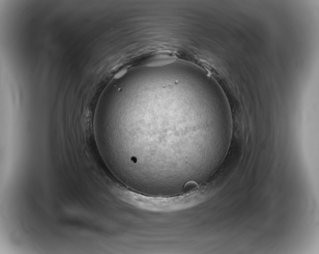 X0000087550034200704271216