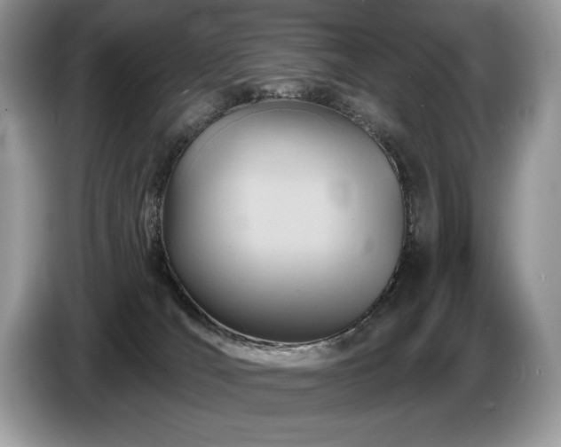 X0000087550036200704271216