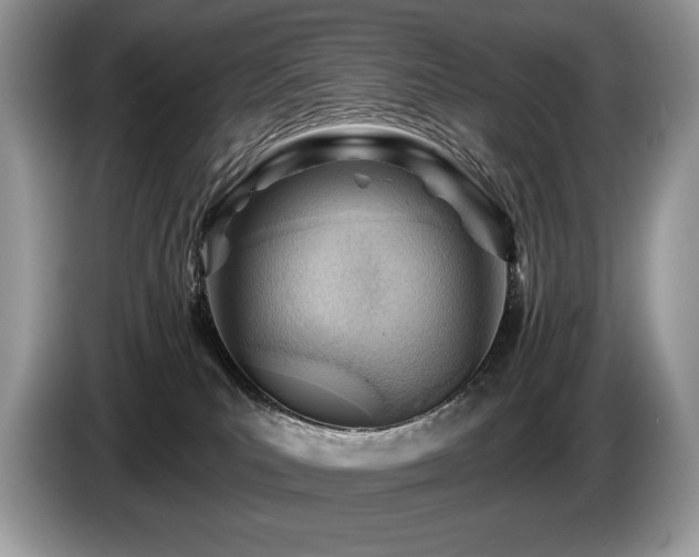 X0000087550039200704271216