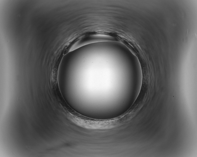 X0000087550044200704271216