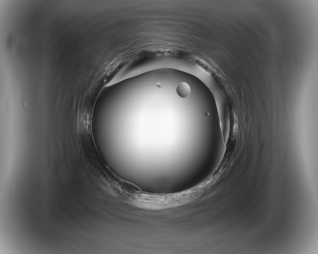 X0000087550045200704271216