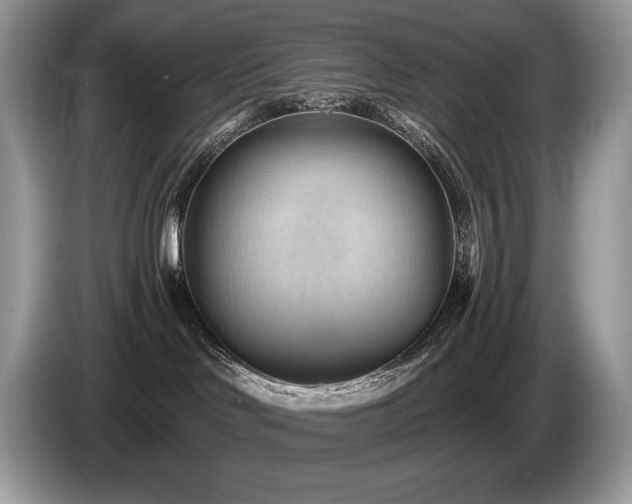 X0000087550046200704271216