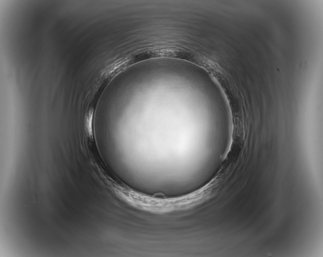 X0000087550047200704271216