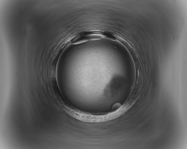 X0000087550048200704271216