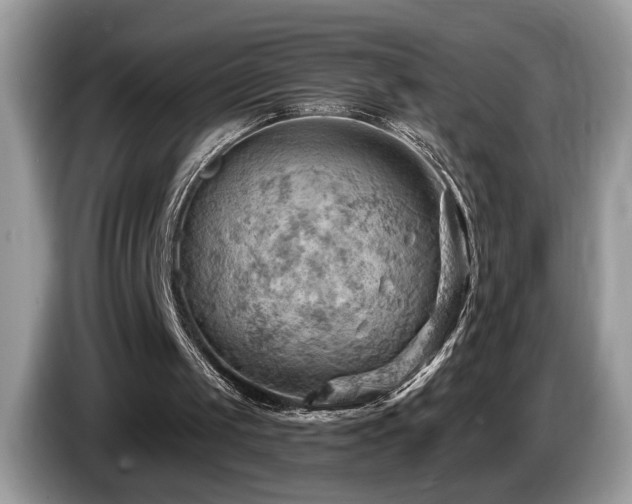 X0000087550049200704271215